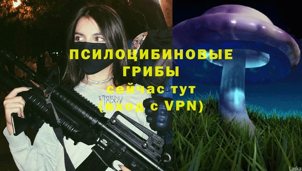 наркотики Бородино
