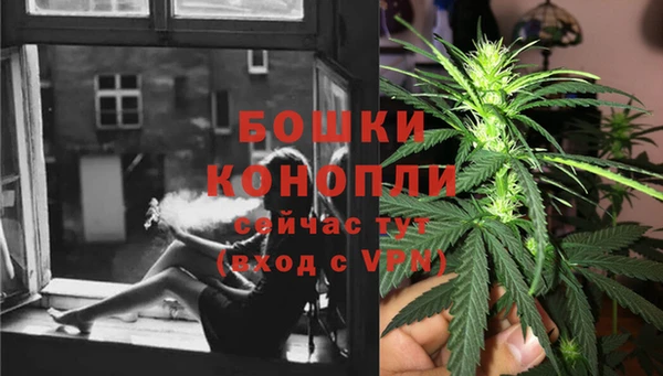 наркотики Бородино