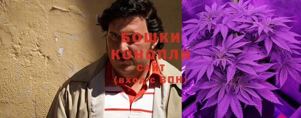 стафф Бронницы