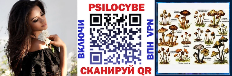 Галлюциногенные грибы мицелий  кракен ТОР  Новомичуринск  купить  